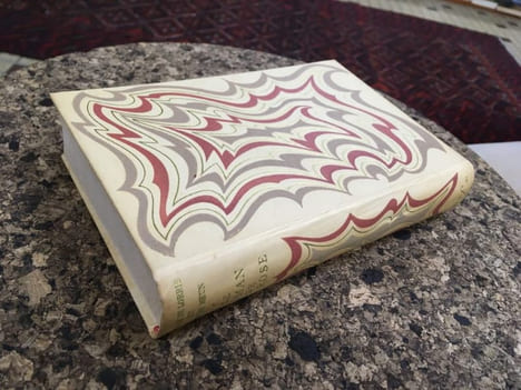 Guillaume de Lorris et Jean de Meun. Le Roman de la rose : Mis en français moderne par André Mary. Couverture de Paul Bonet. Guillaume de Lorris