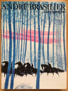 André Brasilier, L'oeuvre lithographié 1958-1981 par Roland Doschka 