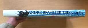 Andr&eacute; Brasilier, L'oeuvre lithographi&eacute; 1958-1981. Roland Doschka 