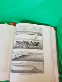 planches des peches,encyclopédie méthodique