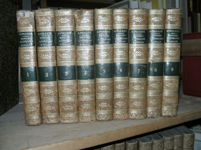 Histoire littéraire d'Italie. Seconde édition, augmentée d'une notice historique par M. Daunou.