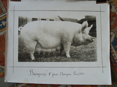 "Banquise". 1er prix - Champion, Paris 1931.