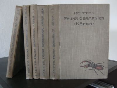 Die Käffer des Deutschen Reiches. Fauna Germanica.