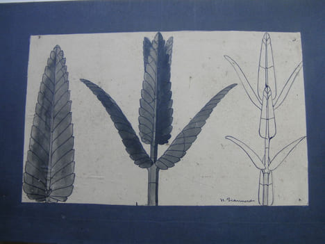 Dessins. . JEANNERET Hermann.