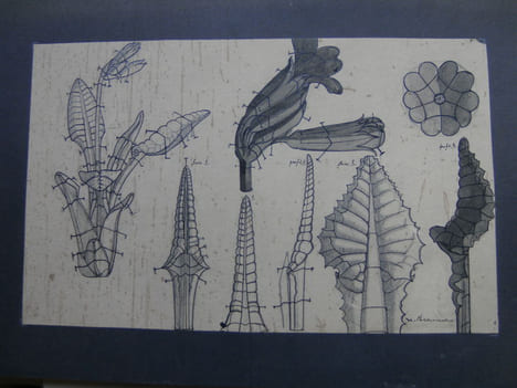 Dessins. . JEANNERET Hermann.