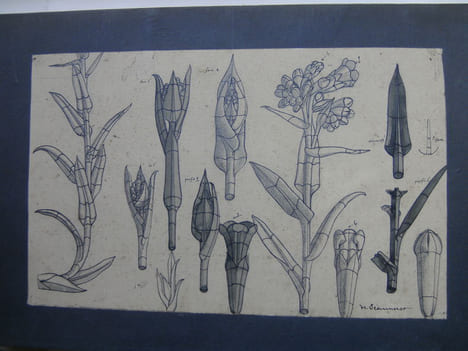 Dessins. . JEANNERET Hermann.