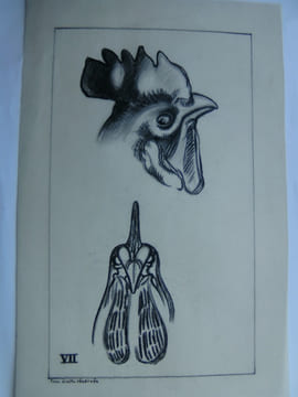 Dessins. . JEANNERET Hermann.