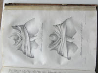 Corso teorico e pratico di Otetricia nel quale si espongono i principi di questo ramo dell'arte snatrice, le cure richieste dalla donna durante e dopo il parto...