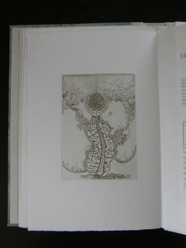 Le Domaine d'Arnheim. Le Cottage Landor. Illustré par A.E. Yersin.. POE Edgar Allan.