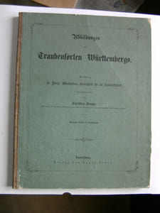 Abbildungen der vorzüglichsten und hauptsächlichsten Traubensorten Württembergs. 