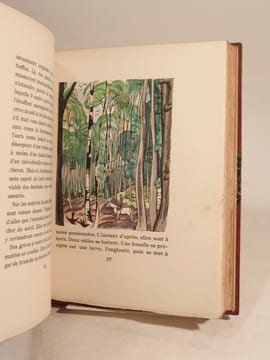 Clairière. Bois de Falké.. CONSTANTIN-WEYER, FALKE