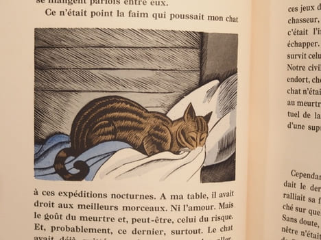 Clairière. Bois de Falké.. CONSTANTIN-WEYER, FALKE