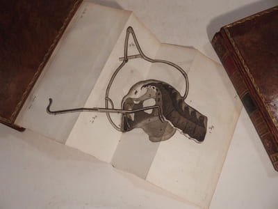 L'Art des accouchemens. 4e édition, revue, corrigée et augmentée. Avec figures en taille-douce.