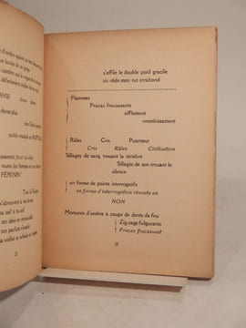 Tour d'horizon. Dessins de Raoul Dufy.. WILLARD (Marcel)