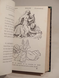 Les Sculptures grotesques et symboliques (Rouen et environs). Préface par Champfleury. Cent vignettes et texte par Jules Adeline.