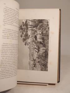 Ismailïa. Récit d'une expédition dans l'Afrique centrale pour l'abolition de la traite des noirs. Ouvrage traduit de l'anglais avec l'autorisation de l'auteur par Hippolyte Vattemare, et contenant 56 gravures et 2 cartes.