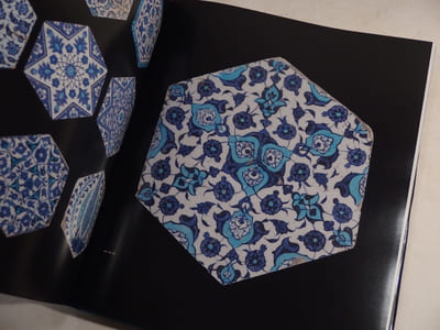 Dance of Fire. Iznik Tiles and Ceramics in the Sadberk Hanim Museum and Omer M. Loc Collections.