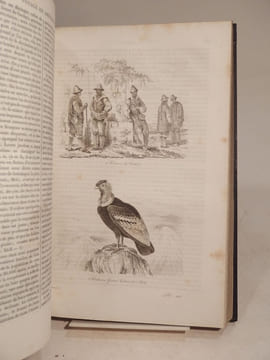 Voyage pittoresque dans les deux Amériques. Résumé général de tous les voyages de Colomb, Las-Casas, Oviedo, Gomara, Garcilazo de la Vega [...] par ...