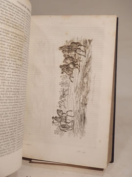 Voyage pittoresque dans les deux Amériques. Résumé général de tous les voyages de Colomb, Las-Casas, Oviedo, Gomara, Garcilazo de la Vega [...] par ...