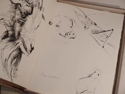 Histoires naturelles. Pointes-sèches originales de Pierre Letellier.