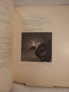 Chanteclerc. Illustrations en couleurs et en noir, dans le texte et hors texte, de MM. Tattegrain, Devambez, Guillonnet, Orazi et Georges Scott.. ...