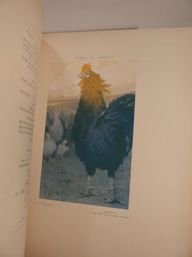 Chanteclerc. Illustrations en couleurs et en noir, dans le texte et hors texte, de MM. Tattegrain, Devambez, Guillonnet, Orazi et Georges Scott.. ...