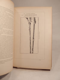 Musée rétrospectif de la classe 29. Modèles, plans et dessins de travaux publics à l'Exposition universelle internationale de 1900, à Paris. Rapport du comité d'installation.