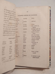 Tableau historique et littériare de la langue parlée dans le Midi de la France et connue sous le nom de langue romano-provençale.