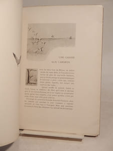 Chasses de Provence. (2e série). Crau et Camargue. Illustrations de l'auteur.