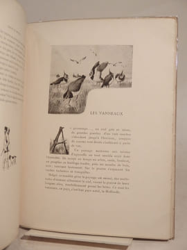 Chasses de Provence. (2e série). Crau et Camargue. Illustrations de l'auteur.. SAMAT (J.-B.)