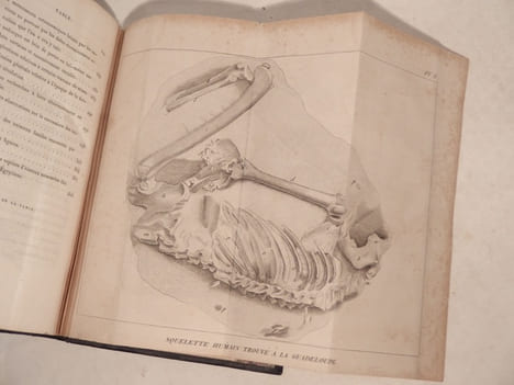 Discours sur les Révolutions de la surface du Globe, et sur les changements qu'elles ont produits dans le règne animal. Sixième édition française, ...