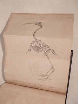 Discours sur les Révolutions de la surface du Globe, et sur les changements qu'elles ont produits dans le règne animal. Sixième édition française, ...
