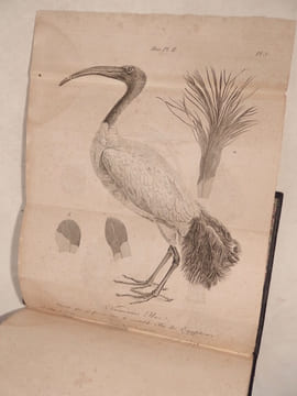 Discours sur les Révolutions de la surface du Globe, et sur les changements qu'elles ont produits dans le règne animal. Sixième édition française, ...
