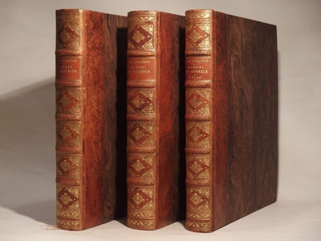 Manuel du tourneur, par L.-E. Bergeron. Ouvrage dans lequel on enseigne aux amateurs la manière d'exécuter sur le tour à pointes, à lunettes, en ...