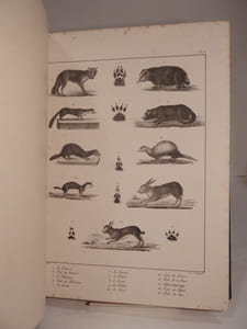 Dictionnaire des Chasses : ATLAS. (Traité général des eaux et forêts, chasses et pêches, 3e partie.)