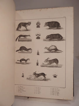 Dictionnaire des Chasses : ATLAS. (Traité général des eaux et forêts, chasses et pêches, 3e partie.). BAUDRILLART, DE QUIGERY