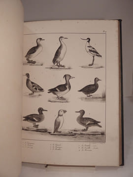 Dictionnaire des Chasses : ATLAS. (Traité général des eaux et forêts, chasses et pêches, 3e partie.). BAUDRILLART, DE QUIGERY