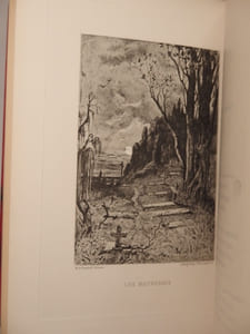 Les Maîtresses, par Jean Floux. Illustrations par J. Béraud, Benjamin Constant, Max. Faivre, Fanny Fleury, Giacomelli, L. Glaize, L.-O. Merson, Vignal, Yamamoto.