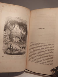Roland furieux (Orlando Furioso). Nouvelle traduction, avec la vie de l'Arioste et des notes sur les romans chevaleresques, les traditions orientales, les chroniques, les chants de trouvères et des troubadours comparés au poème de l'Arioste, par M. A. Mazuy.