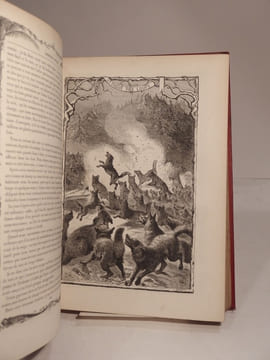 Robinson Crusoé. Précédé d'une Notice sur la vie et les ouvrages de l'auteur illustré de cent gravures.. DE FOE (Daniel)