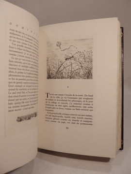 Dominique. Illustré de soixante-quatorze pointes-sèches par Michel Ciry.. FROMENTIN (Eugène), CIRY (Michel)