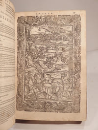 Orlando Furioso di M. Lodovico Ariosto, tutto ricorretto et di nuove figure adornato. Con le Annotationi, gli Avvertimenti, & le Dichiarationi de Ieronimo Ruscelli. La Vita dell'Autore desritta dal Signor Giovan Battista Pigna. Gli Scontri de' luoghi mutati dall'Autore doppo la prima impressione. La Dichiaratione di tutte leIstorie, & Favole toccate nel presente libro, fatta da M. Nicolo Eugenico. Di nuovo aggiuntovi Li Cinque Canti, del medesimo Autore. Et una Tavola de' principii di tutte le Stanze. Con altre cose utili, & necessarie.