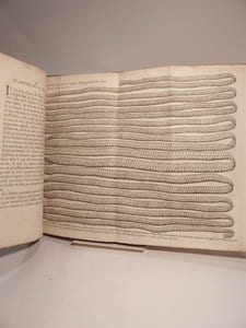 Vers solitaires et autres de diverses espèces, dont il est traité dans le livre De la Génération des Vers représentez en plusieurs planches, avec les renvois aux pages où il en est parlé, ou qui y ont rapport : ensemble, plusieurs remarques importantes sur ce sujet. 
