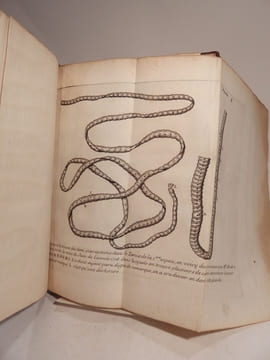 Vers solitaires et autres de diverses espèces, dont il est traité dans le livre De la Génération des Vers représentez en plusieurs planches, avec les ...