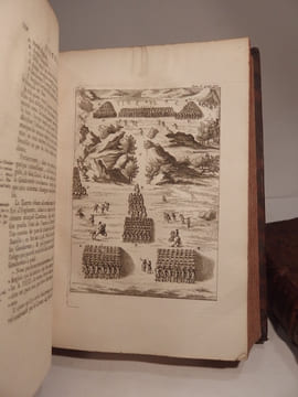 Histoire de la Milice françoise, et les changements qui s'y sont faits depuis l'établissement de la Monarchie dans les Gaules jusqu'à la fin du Règne ...