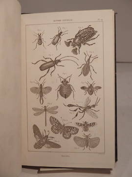 Encyclopédie moderne, ou Dictionnaire abrégé des Sciences, des Lettres, des Arts, de l'Inductrie, de l'Agriculture et du Commerce. ATLAS.. undefined