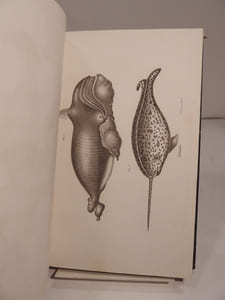 Encyclopédie moderne, ou Dictionnaire abrégé des Sciences, des Lettres, des Arts, de l'Inductrie, de l'Agriculture et du Commerce. ATLAS.