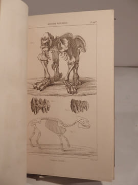 Encyclopédie moderne, ou Dictionnaire abrégé des Sciences, des Lettres, des Arts, de l'Inductrie, de l'Agriculture et du Commerce. ATLAS.. undefined