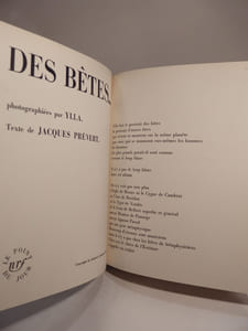 Des Bêtes... photographiées par Ylla. Texte de Jacques Prévert.
