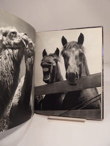 Des Bêtes... photographiées par Ylla. Texte de Jacques Prévert.